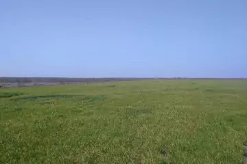 Satılır Torpaq Salyan Rayonunda