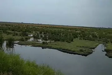 Satılır Torpaq Salyan Rayonunda