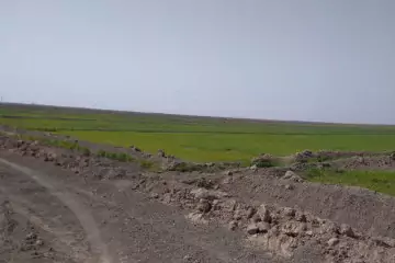Satılır Torpaq Salyan Rayonunda