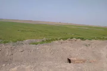 Satılır Torpaq Salyan Rayonunda