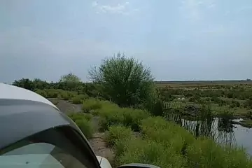 Satılır Torpaq Salyan Rayonunda
