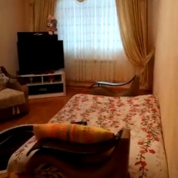 Nizami gəncəvi küçəsida yeni tikili aylıq kirayə