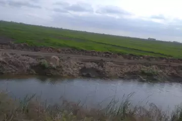 Satılır Torpaq Salyan Rayonunda