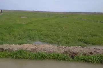 Satılır Torpaq Salyan Rayonunda