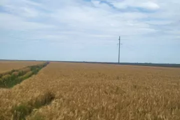 Satılır Torpaq Salyan Rayonunda