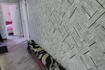 Satılır Həyət Evi Masazırda