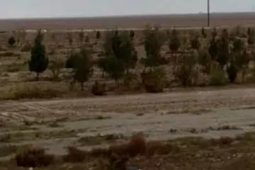 Satılır Torpaq Xızı Rayonunda