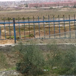 Satılır Torpaq Novxanıda