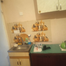 Aylıq Kirayə Həyət Evi Yasamalda