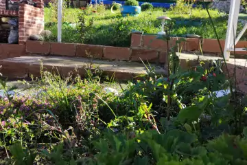 Günlük Kirayə Həyət Evi Quba Rayonunda