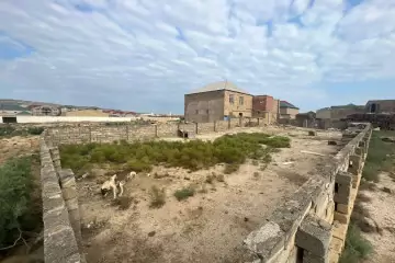 Satılır Torpaq Lökbatanda