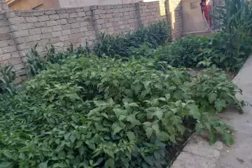 Satılır Həyət Evi Ramanada