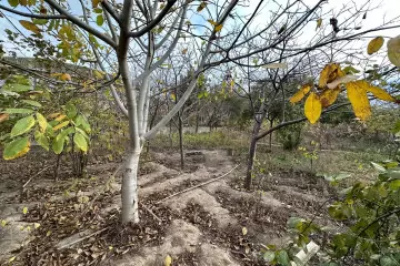 Satılır Torpaq əmircanda
