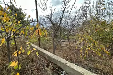 Satılır Torpaq əmircanda