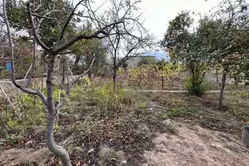 Satılır Torpaq əmircanda