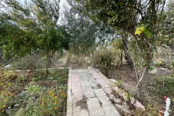 Satılır Torpaq əmircanda