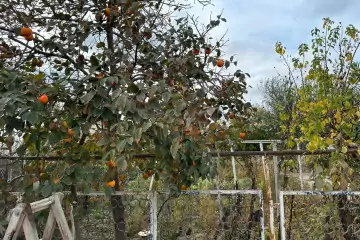 Satılır Torpaq əmircanda