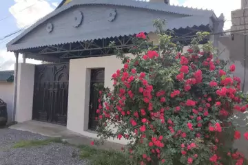 Satılır Torpaq Masazırda