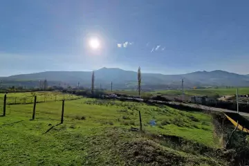 Satılır Torpaq Siyəzən Rayonunda 