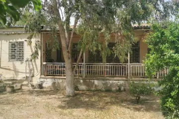 Satılır Bağ Evi Bilgəhdə 