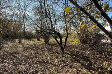 Satılır Torpaq Bunud Kəndində 