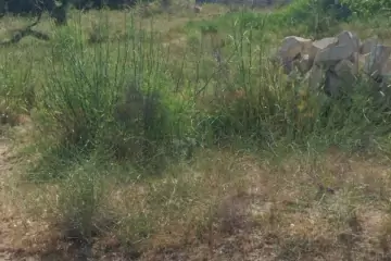 Satılır Torpaq Nardaranda