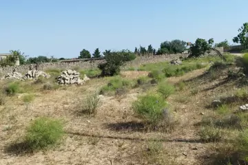 Satılır Torpaq Nardaranda