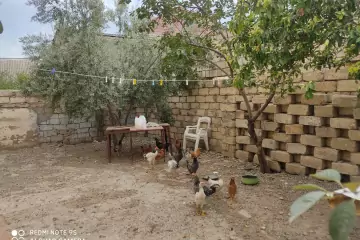 Satılır Həyət Evi Sulutəpədə 