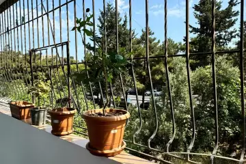 Satılır Köhnə Tikili Bakı Kinoteatrıda