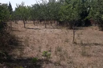 Satılır Torpaq İsmayıllı Rayonunda
