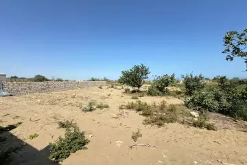 Satılır Torpaq Nardaranda