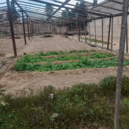 5 sot  torpaq satılır, Buzovna
