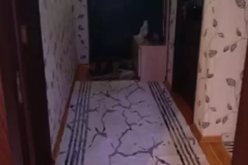 Satılır Həyət Evi Binəqədidə