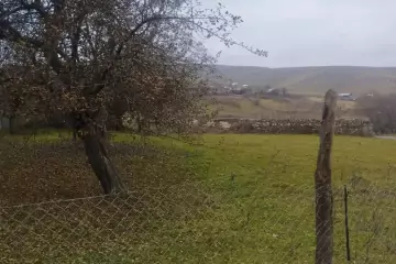 Satılır Torpaq Daşkəsən Rayonunda