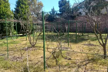 Satılır Bağ Evi şüvəlanda