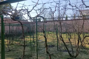 Satılır Bağ Evi şüvəlanda