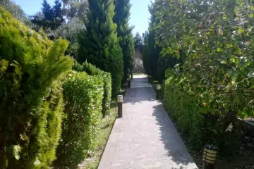 Satılır Bağ Evi şüvəlanda