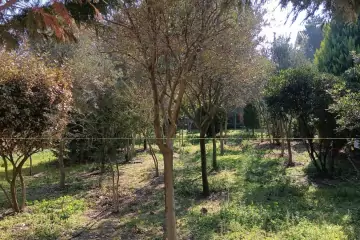 Satılır Bağ Evi şüvəlanda