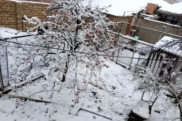Satılır Torpaq Keşlədə