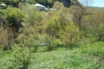 Satılır Həyət Evi İmişli Rayonunda