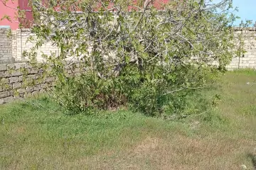 Satılır Torpaq Buzovnada
