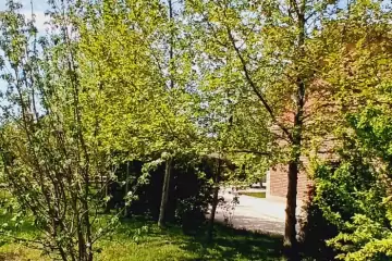 Satılır Həyət Evi şüvəlanda