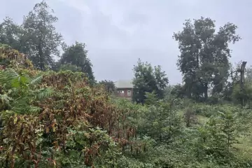 Satılır Torpaq Lənkəran Rayonunda