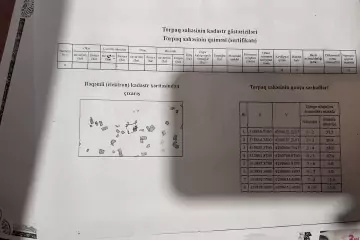 Satılır Torpaq Lənkəran Rayonunda