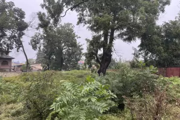 Satılır Torpaq Lənkəran Rayonunda