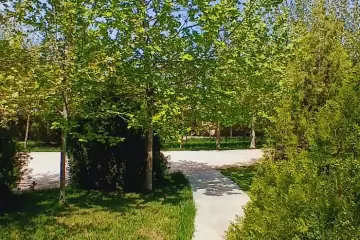 Satılır Bağ Evi şüvəlanda