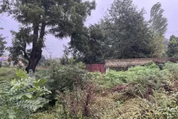 Satılır Torpaq Lənkəran Rayonunda 