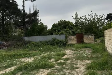 Satılır Torpaq şirvanda
