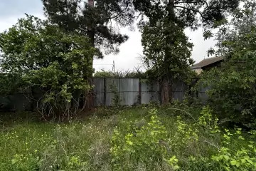 Satılır Torpaq şirvanda