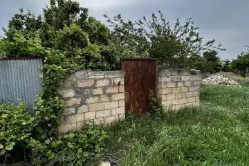 Satılır Torpaq şirvanda